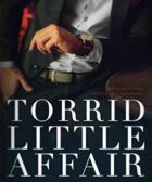 Torrid Little Affair: Volume 3 (Forbidden Desires) 2