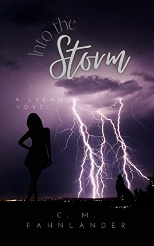 Into the Storm (English Edition) 1